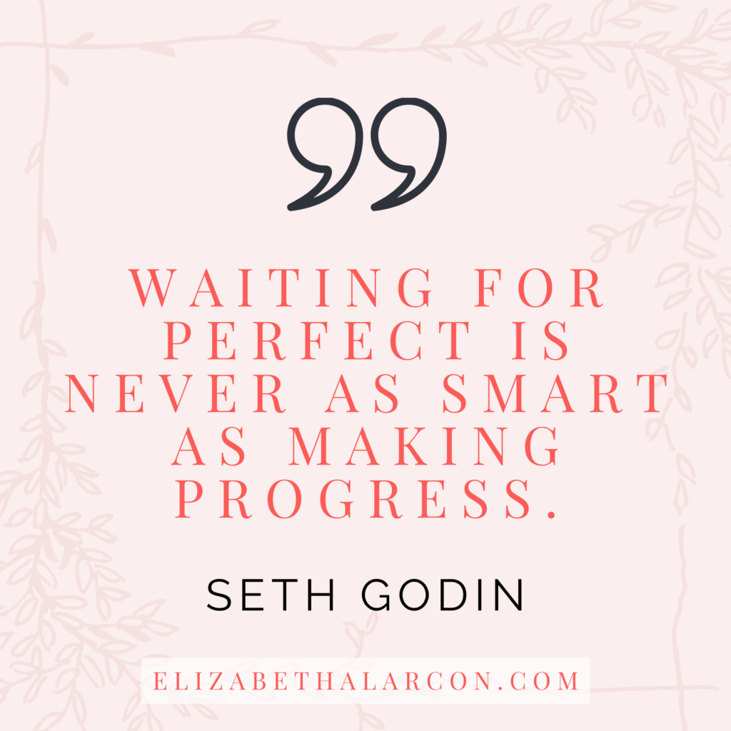 ELIZABETH ALARCON - BLOG POST QUOTES - Essential Tools For Bootstrapping Entrepreneurs To Get The Most Out Of Tech Without Hiring A Developer - SETH GODIN